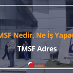 tmsf nedir