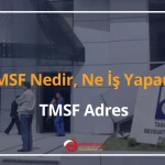 tmsf nedir