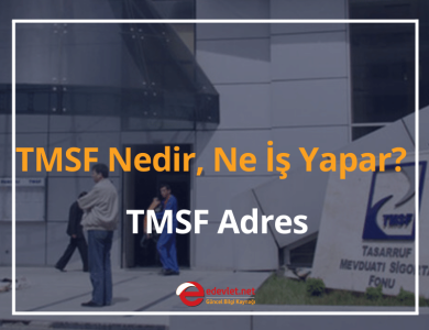 tmsf nedir