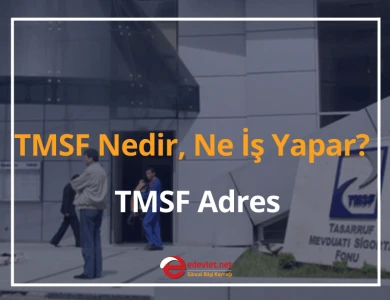 tmsf nedir
