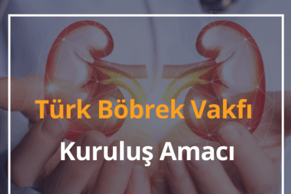 Türk Böbrek Vakfı Nedir? Türk Böbrek Vakfı İletişim 2024 14 Türk Böbrek Vakfı