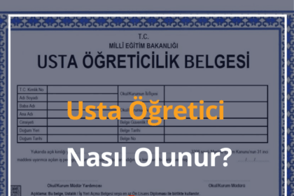 Usta Öğretici