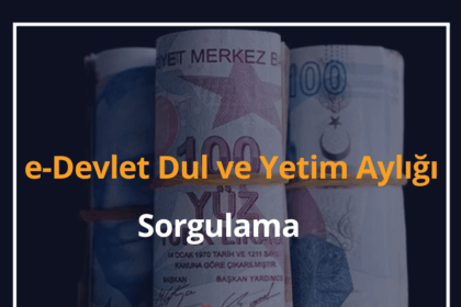 e-Devlet Dul ve Yetim Aylığı Sorgulama 2024 18 e-Devlet Dul ve Yetim Aylığı