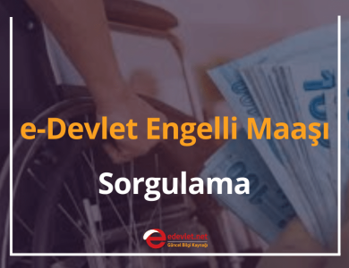 e-devlet engelli maaşı