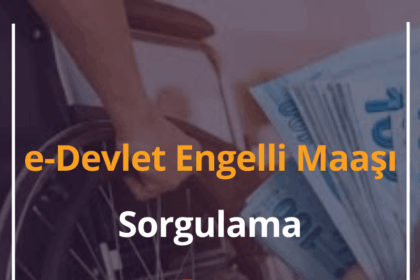 e-Devlet Engelli Maaşı