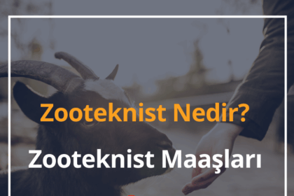 Zooteknist Nedir? 2024 Zooteknist Maaşları Ne Kadar? 12 Zooteknist