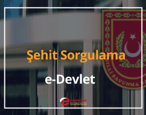Şehit Sorgulama e-Devlet 2024 MSB Şehitler Listesi Sorgulama